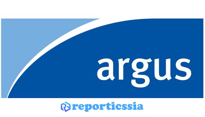 отчет Argus