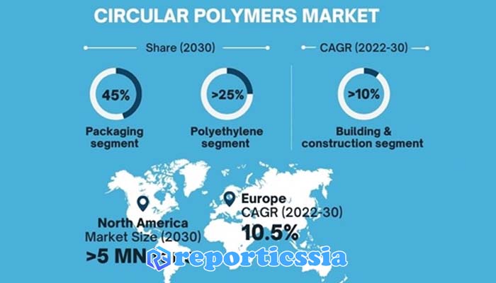 Что такое Polymers Market